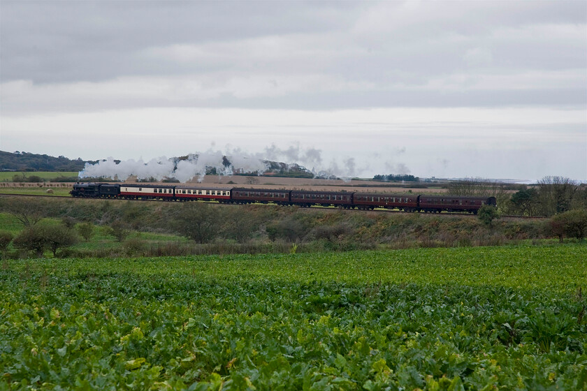 44767, 12.00 Holt-Sheringham & dining train, Oak Wood TG133426 
 The North Norfolkman dining train climbs towards Weybourne away from the coast led by Black 5 44767 'Geroge Stephenson'. The photograph is taken from a footpath that runs next to the A149 coast road near to Oak Wood that is part of the Sheringham Park estate. 
 Keywords: 44767 12.00 Holt-Sheringham & dining train Oak Wood TG133426 The North Norfolkman Black 5 George Stephenson