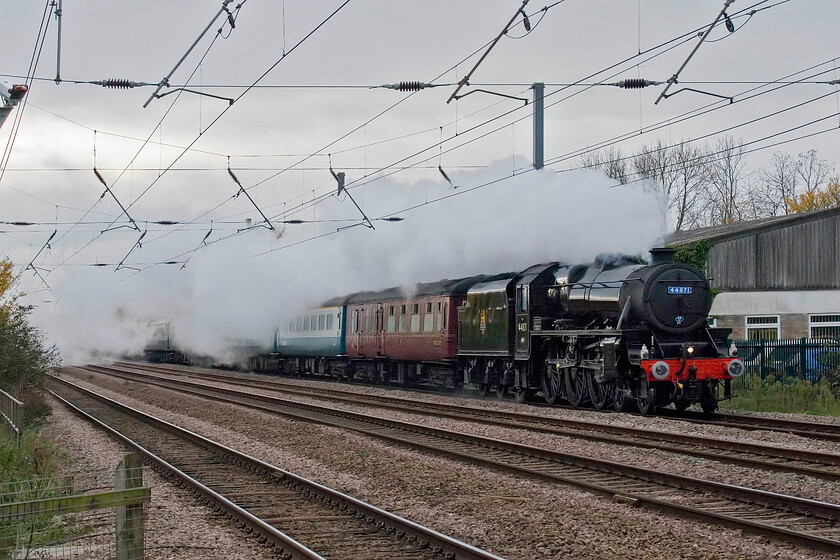 44871, outward leg of The Christmas White Rose, 07.38 London King's Cross-York (1Z52, 2E), Tempsford level crossing 
 Black 5 44871 is seen working hard and creating quite an exhaust as it passes Tempsford leading the outward leg of The Christmas White Rose charter that left King's Cross at 07.38 heading for York. Its departure from Peterborough was planned to be just ten minutes before another steam-hauled charter also called The Christmas White Rose with 4498 'Sir Nigel Gresley' at the helm. This would then mean that until Carlton Loops where one of the charters was held that both trains would pass along the ECML within a few minutes of each other; quite extraordinary! Things went largely to plan but the Black 5 charter, seen here, was running late so ended up being behind Gresley rather than in front of it as planned. 
 Keywords: 44871 The Christmas White Rose 07.38 London King's Cross-York 1Z52 Tempsford level crossing