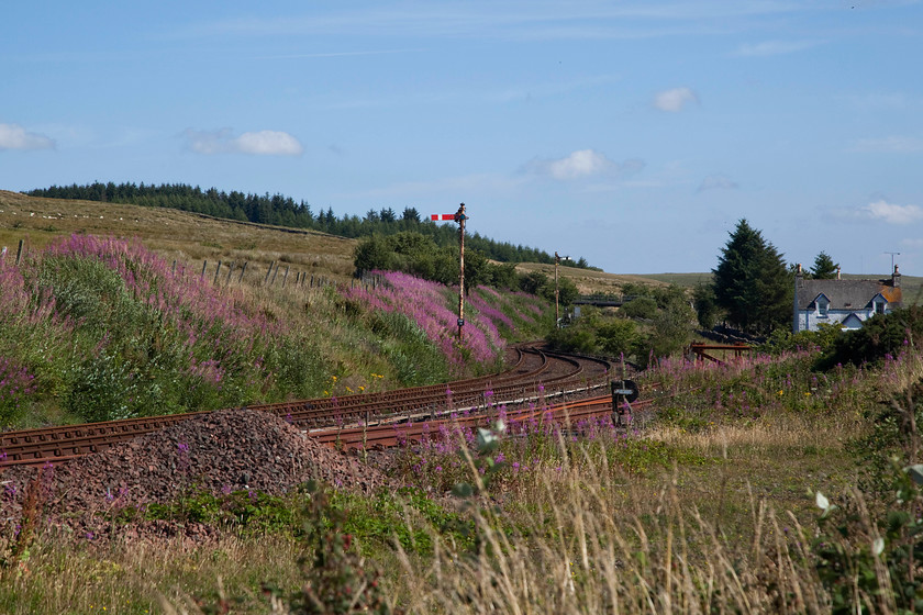 Trackwork & signalling, Glenwhilly 
 In the foreground the trackwork at Glenwhilly can be seen composed of a through line, a passing loop and a siding. There is a shunting ground signal as well as an up and down home signal. Up until 1965, there was a station at this remote spot, quite where the passengers came from who used it was a mystery as all there is are some scattered remote farms and plenty of sheep! 
 Keywords: Glenwhilly