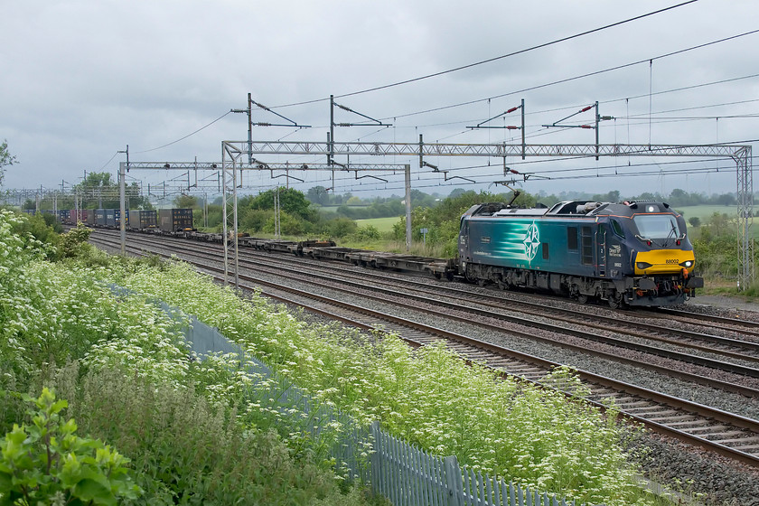 88002, 13.50 DIRFT-Mossend (4L45, 5E), Gordon`s Lodge 
 For the final week (of four) the 4L45 Daventry to Mossend Tesco Express is seen heading south on the WCML - the first part of its convoluted journey to Scotland. As per last week, it is being led by 88002 'Prometheus' this time past Gordon's Lodge a short distance north of Hanslope Junction. Unfortunately, the train is fairly lightly loaded with all the wagons towards the rear that does nothing for the composition of the photograph! The foreground is dominated by a forest of cow parsley (Anthriscus sylvestris) that seems to have enjoyed a very strong season this year. After negotiating the plant and waist-high nettles I was able to get back to my bike and endure a wet ride home bumping into Richard Denny at Victoria bridge. 
 Keywords: 88002 13.50 DIRFT-Mossend 4L45 Gordon`s Lodge DRS Direct Rail Services Tesco Express