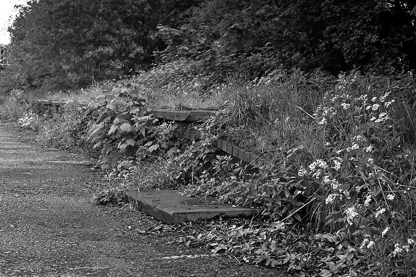 Platform 1, Bath Green Park station 
 The far end of the former platform one of Bath's Green Park station is being completely taken over by nature with an edging stone fallen on to what would have been the trackbed until it had been tarmacked over a few years previous. 
 Keywords: Platform 1 Bath Green Park station