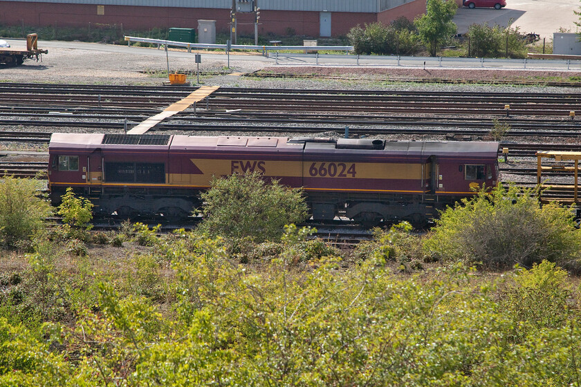 66024, Toton centre road 
 Still resplendent in its 'as built' livery dating from December 1998 and still going strong 66024 sits on one of Toton's centre roads. Despite that livery being now some fifteen years out of date with the demise of EWS in 2007 it is still looking relatively fresh. One could only think back and recall what state a BR diesel would be in with it not having had a repaint for twenty-four years! Using information provided by Mike (who has access to TOPS) the 66 sat here all weekend not moving off somewhere until Monday. 
 Keywords: 66024 Toton centre road