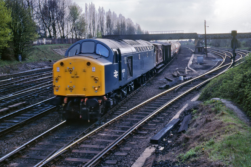 40073, down freight, Holgate Bridge 
 Just as we were about to head back to the station from Holgate bridge the distinctive sound of a Class 40 was heard and 40073 appeared looking in a very presentable condition despite it only having less than three years left in service. It is leading a rake of ICI wagons complete with a brake van at either end along with some barrier wagons. I do not know what the working was but I am sure that somebody local to York at this time will know. If that's you please get in contact with me. Notice the huge York running in concrete sign to the left of the cab that can still be seen today. However, what cannot be seen today, and should never be seen again, is the large white swastika daubed on the fence of the Mount School with the words Nazi British Movement - a far-right organisation that existed at this time and one that thankfully splintered itself to death in the mid-1980s. If this sort of foul and offensive graffiti appeared today it would be removed immediately; some things are better dealt with today than in past times. 
 Keywords: 40073 Holgate Bridge