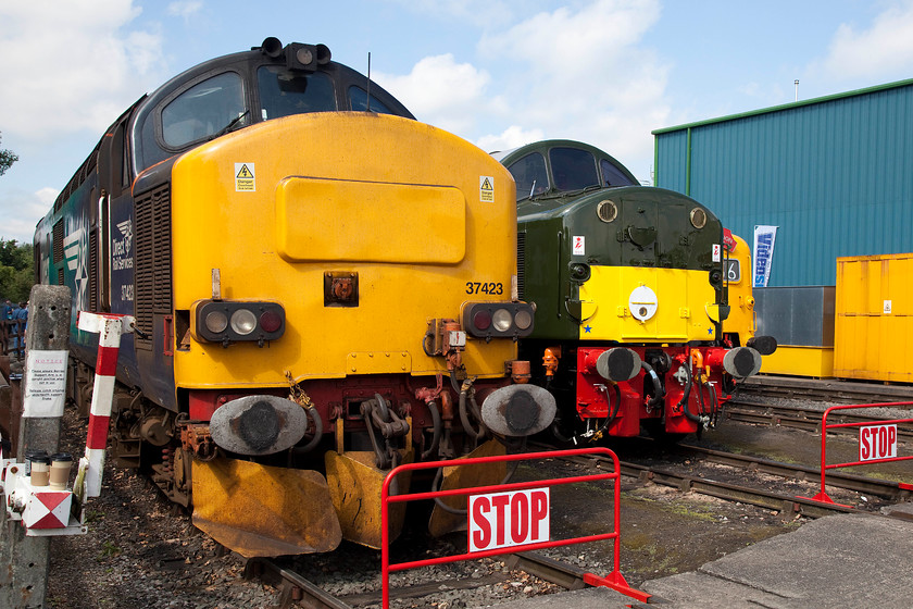 37423, D213 (40013) & D9009 (55009), on-display, DRS Gresty Bridge 
 I managed to get a shot devoid of people by just being patient for a few minutes. This picture shows a trio of English Electric's finest 37423, D213 'Andania' and with just the edge of its nose in view, D0990 'Alycidon' on display at DRS's Crewe Gresty Bridge open day. 
 Keywords: 37423 D213 40013 D9009 55009 on-display DRS Gresty Bridge