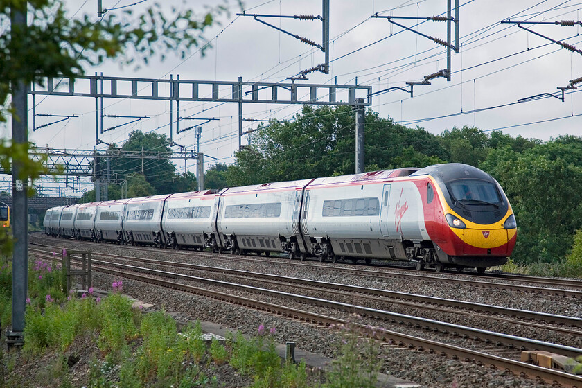 390013, VT 07.35 London Euston-Manchester Piccadilly, between Roade & Ashton 
 As a London Midland Desiro just goes out of shot to the left 390013 heads north on the down fast line working the 07.35 Euston to Manchester Piccadilly service. Notice the Rosebay willowherb (Chamaenerion angustifolium) in the foreground, found all over the railway network as one of the most successful colonisers of the embankments! 
 Keywords: 390013 07.35 London Euston-Manchester Piccadilly, between Roade & Ashton Virgin Pendolino