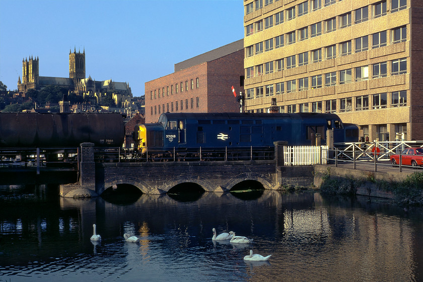 37018, tanker train, East Holmes crossing 
 This photograph would not have worked so successfully without the low evening sun. It picks out the gothic grandeur of Lincoln's fine eleventh-century cathedral yet at the same time plunges part of the foreground in deep and atmospheric shadow complete with some swans to just lift things a little. 37018 is seen leading a tanker train, probably heading for Immingham (local advice anybody?) crossing the River Witham. The mechanical level crossing gates have been closed preventing the red Mk. 1 Vauxhall Cavalier from driving down Brayford Wharf towards Wigford Way. The Class 37 is still with us today and operational as one of WCR's fleet of drably painted locos. renumbered as 37518 and now having lost its square headcode boxes as seen here, see..... https://www.ontheupfast.com/p/21936chg/27362599004/x37706-37518-cosham-completer-05 
 Keywords: 37018 tanker train East Holmes crossing