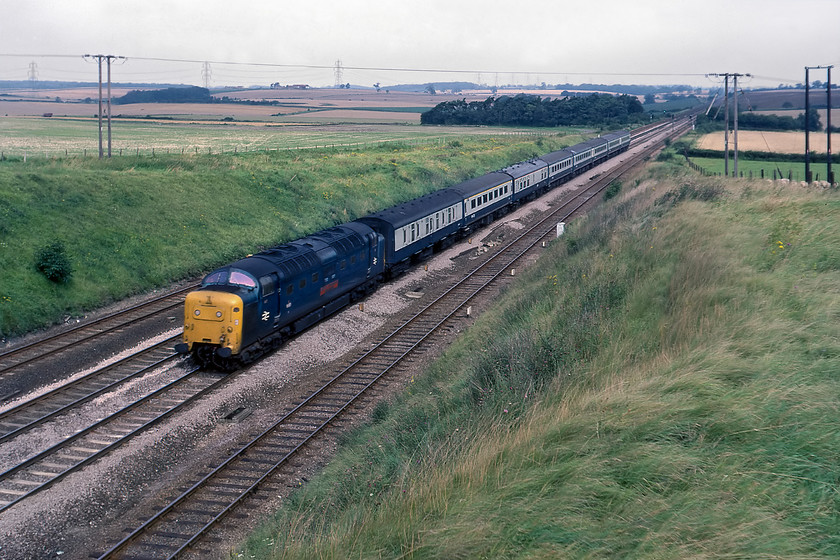 55021, 08.05 York-London King's Cross (1A05), Essendine TF043129 
 55021 'Argyll and Sutherland Highlander' leads the 08.05 1A05 York to King's Cross semi-fast past Essendine. After the previous night's gales the wind is still blowing hard witnessed by the grass in the forground over at a fair angle! The train has just about reached the bottom of Stoke bank and would be at full line speed of one hundred miles per hour as it contiues its journey south with just under ninety miles to go. 
 Keywords: 55021 08.05 York-London King's Cross 1A05 Essendine TF043129 Argyll and Sutherland Highlander