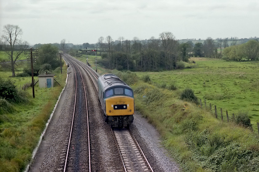 46012, up light engine, Fairwood Junction ST849512 
 On the fairly long walk back to Westbury station from Fairwood Junction, we paused at an overbridge as something had been pegged on the up line for the station. After short wait, 46012 appeared running light engine. This image again shows the devastation caused by Dutch elm disease that completely changed the appearance of the landscape in this part of the West Country. 
 Keywords: 46012 up light engine Fairwood Junction ST849512