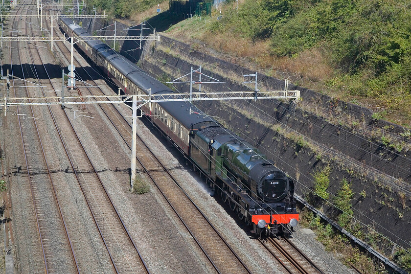 46100, 07.59 Crewe HS-Southall LSL (5Z31, 35L), Roade cutting 
 If this train had been half an hour or so later the lighting would have been perfect with it being a little head-on in this vie taken above Roade cutting. 46100 'Royal Scot' leads the 5Z31 07.59 Crewe HS to Southall LSL with D1924 Crewe Diesel Depot offering some assistance at the rear. This appears to be a straightforward stock move with the locomotive allegedly returning later in the week. 
 Keywords: 46100 07.59 Crewe HS-Southall LSL 5Z31 Roade cutting Royal Scot