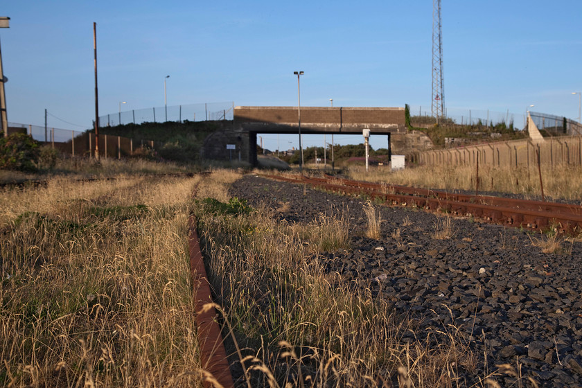 Sidings, Ayr Harbour 
 The tracks leading into the Ayr Harbour complex are heavily rusted as seen in this image and have seen no trains traversing them for a number of years. They are still connected to the network and I hope that this situation remains and that they can be easily reactivated if a new opportunity to use them arises again. Once they are lifted, that would be that and would mean more lorries on the road again! 
 Keywords: Sidings, Ayr Harbour