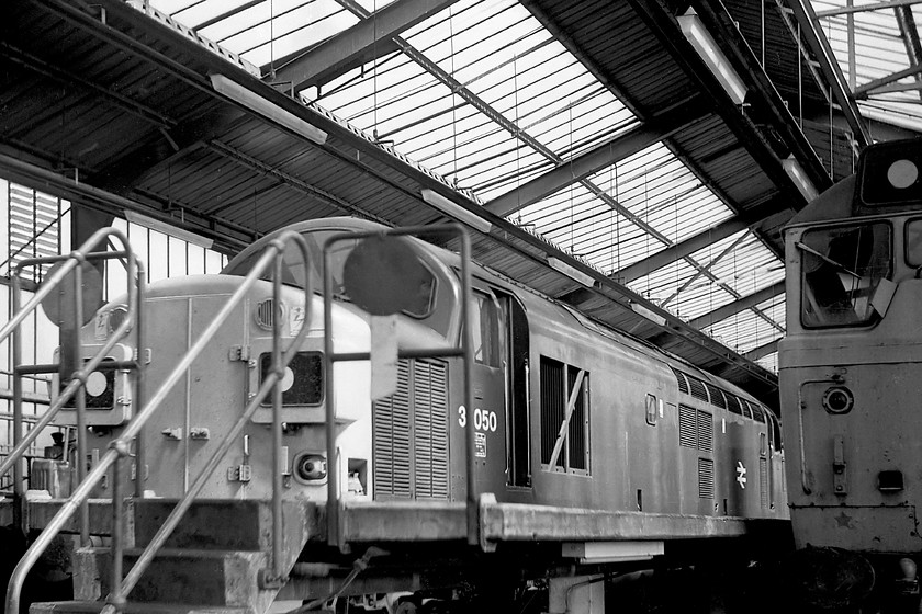 37050 & 31326, stabled, March MPD 
 A quiet Sunday morning found Simon and I inside the MPD at March. There were no staff about so we simply wandered around taking down many numbers most of which were cops! Here in the shed 37050 sits next to 31326. The 37 was new from the Vulcan factory in August 1962 as D6750. After becoming 37050 under TOPS in 1974 it morphed into 37717 in 1985. It was withdrawn in 2004 but not scrapped until 2009. 31326 was new from Brush in 1962 as D5861 becoming 31326 in 1973. It lived on in this guise until withdrawal in 1991 giving 28 years of service. 
 Keywords: 37050 31326 stabled, March MPD