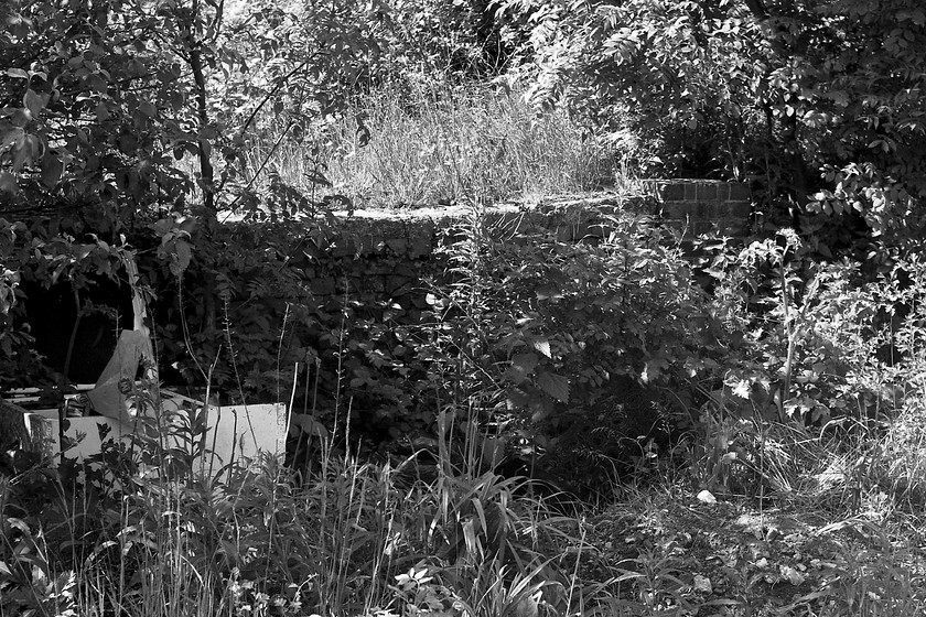 Remains of platform, former Bathampton station 
 As the undergrowth takes over, the remains of a section of platform can be seen at the former Bathampton station. Rather than being part of the passenger platforms, I believe that this was part of a loading bay slightly away from the main platforms, as these were destroyed when extensive improvements were made to the tracks of the mainline and the junctions themselves that lead down the Avon valley. There were a number of sidings at Bathampton associated with the sawmill and woodyard. 
 Keywords: Remains of platform former Bathampton station