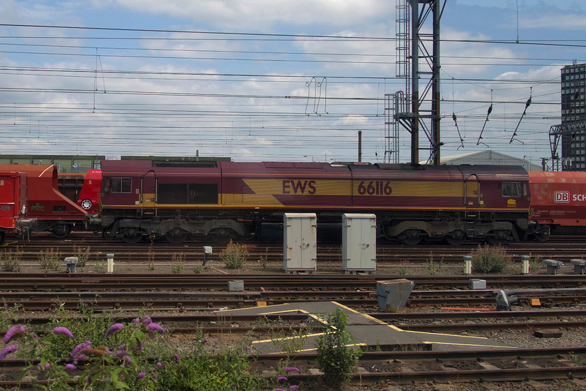 66116, stabled, Wembley yard 
 A broadside of 66116 stabled in Wembley yard. I don't think that this locomotive moved over the next couple of days as it appeared to be in the same spot when we returned two days after this picture was taken. 
 Keywords: 66116 stabled Wembley yard