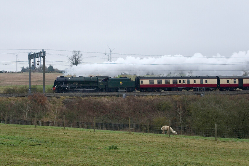 46100, 11.20 Southall LSL-Crewe LSL (5Z72, 8E), between Roade & Ashton 
 46110 'Royal Scot' makes for a fine site as it works hard on the down slow line between the Northamptonshire villages of Roade and Ashton despite he incredibly dull afternoon! It is leading the returning empty stock 5Z72 from Southall's LSL base to their parent base at Crewe located at the site of the former diesel depot after being used the previous day on a private LSL staff charter. 
 Keywords: 46100 11.20 Southall LSL-Crewe LSL 5Z72 between Roade & Ashton Royal Scot