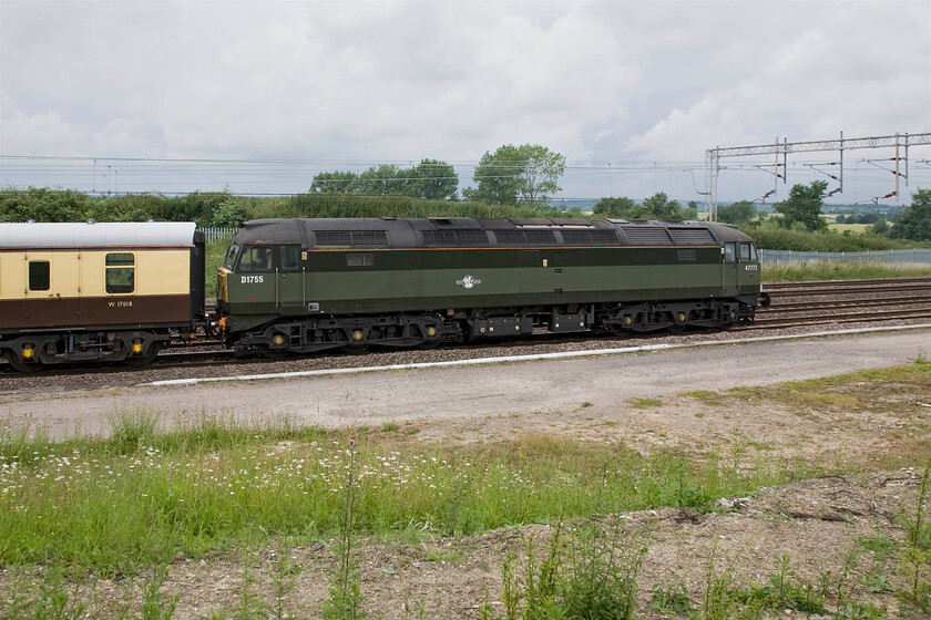 D1755, DIT, outward leg of The Midlander, non-stop 08.49 Birmingham New Street-London Euston (1Z86), Gordon's Lodge 
 Wearing its two-tone British Railways green livery well D1755 (formerly 47541 snd 47773) is dead in tow on the rear of the outward and non-stop run of The Midlander from Birmingham to Euston. The tail of the charter, being led by 46233 'Duchess of Sutherland', is seen passing Gordon's Lodge between Northampton and Wolverton. 
 Keywords: D1755 The Midlander non-stop 08.49 Birmingham New Street-London Euston 1Z86 Gordon's Lodge