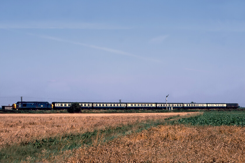 37087, 12.40 Harwich Parkstone Quay-Peterborough (1B42), Manea 
 37087 crosses the flatlands of the Fens at Manea leading the 1B42 12.42 Harwich Parkston Quay to Peterborough service. In the mists of time, I am not quite so sure as to why I took this photograph from such a distant location as it hasnt worked particularly well. Perhaps the train passed us before we had got to a point where we could take a better photograph? Either way, I am glad that I recorded the scene as all of it has now been confined to history apart from the semaphores and they are very much on borrowed time! 
 Keywords: 37087 12.40 Harwich Parkstone Quay-Peterborough 1B42 Manea