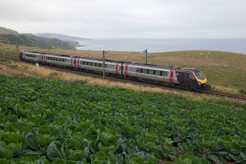 220001, XC 13.00 Glasgow Central-Plymouth (1V66, 1E), Lamberton NT973580 
 Quite how but this is my only picture to date of 220001 I am not sure, this particular Voyager seems to have escaped my camera lens for all the years that it has been in service! What a dramatic spot to get a photograph though, high above the cliffs at Lamberton just north of Berwick-upon-Tweed. With a field of Brussels sprouts in the foreground, it passes southwards working the 13.00 Glasgow Central to Plymouth CrossCountry service. 
 Keywords: 220001 13.00 Glasgow Central-Plymouth 1V66 Lamberton NT973580