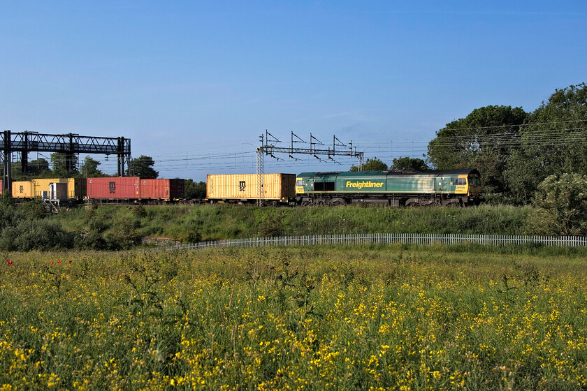 66653, 02.57 Felixstowe North-Garston (4M45, 43E), between Roade & Ashton 
 The oilseed rape just going over it's over a month after it should have been harvested! Such are the problems and risks taken by farmers growing the crop now following the banning of neonicotinoids that combat the cabbage stem flea beetle that can decimate the crop in its early stages of growth. I suspect that the days of the bright yellow field in spring acting as dramatic backdrops to railway photographs are now getting extremely rare but here is one showing 66643 approaching Roade from the south leading the 02.57 Felixstowe to Garston Freightliner service. 
 Keywords: 66653 02.57 Felixstowe North-Garston 4M45 between Roade & Ashton Freightliner