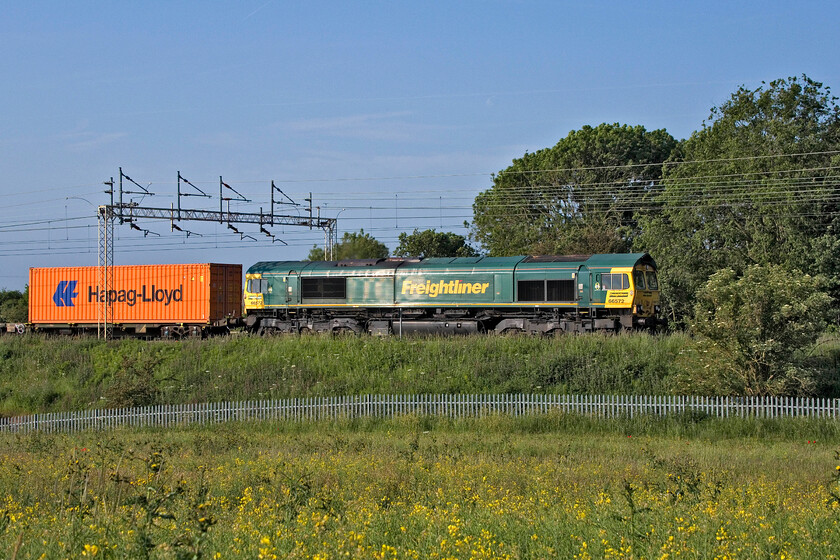 66572, 04.17 Southampton MCT-Lawley Street (4M62, 4L), between Roade & Ashton 
 The Nuneham bridge (or viaduct as it is all too frequently referred to) in Oxfordshire having reopened to traffic yesterday (Friday 09.07.23) I was not expecting to see any more diverted freight services. However, the 4M62 04.17 Southampton to Lawley Street service hauled on this superb early summer morning is still 'off-route' as it approaches Roade in Northamptonshire hauled by Freightliner's 66572. 
 Keywords: 66572 04.17 Southampton MCT-Lawley Street 4M62 between Roade & Ashton Freightliner