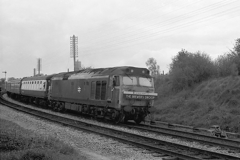 50036, outward leg of The Brewers Droop, London Paddington-London Waterloo (via Salisbury), Bradford Junction 
 As The Brewer's Droop railtour had a layover of some 2 hours at Melksham to enable the passengers to 'take lunch' it gave me the opportunity to ride my bike to Bradford Junction. As I lived a couple of houses from the signalman on-duty, he allowed me access to this spot just in front of Bradford Junction signal box. 50036 is bringing the train slowly past with the secondman about to throw out the token for collection. 
 Keywords: 50036 The Brewers Droop London Paddington-London Waterloo Bradford Junction