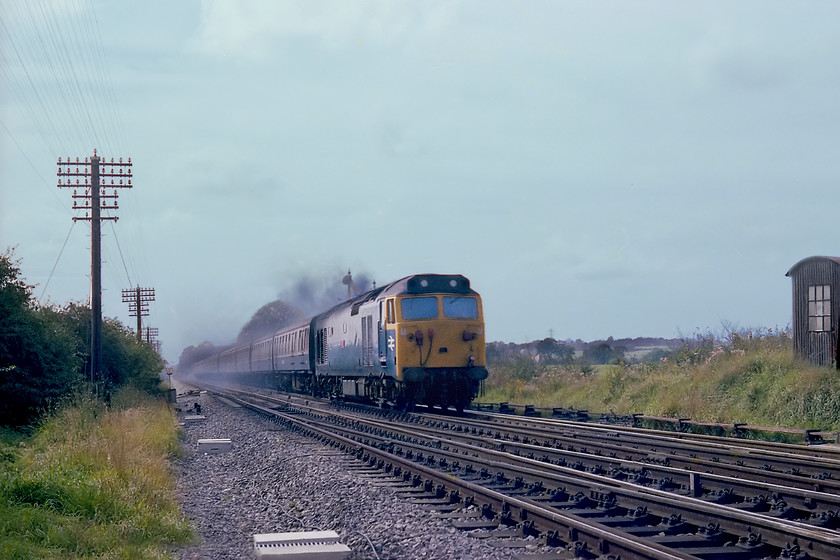 50002, 10.38 Newquay-London Paddington (1A77), Fairwood Junction 
 50002 Superb shatters the bucolic peace of the Wiltshire countryside at Fairwood Junction just west of Westbury. It is opening up to take the cut-off Westbury avoiding line leading the 1A77 10.38 Newquay to London Paddington. I am standing opposite Fairwood Junction signal box with the permission of the signalman who also permitted us access into the lovely and remote box. 
 Keywords: 5000 10.38 Newquay-London Paddington 1A77 Fairwood Junction