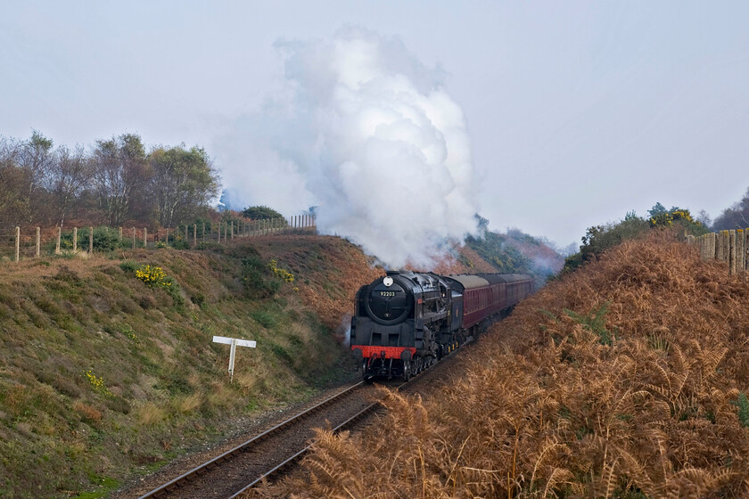 92203, 10.30 Sheringham-Holt, Kelling Heath 
 Version one of the same train.....

With the train placed a little further back and a more wide-angled view the towering exhaust is seen to best effect against a pale blue sky contrasting with the bracken. 92203 'Black Prince' surmounts Kelling bank working the 10.30 Sheringham to Holt service. 
 Keywords: 92203 10.30 Sheringham-Holt Kelling Heath 9F Black Prince