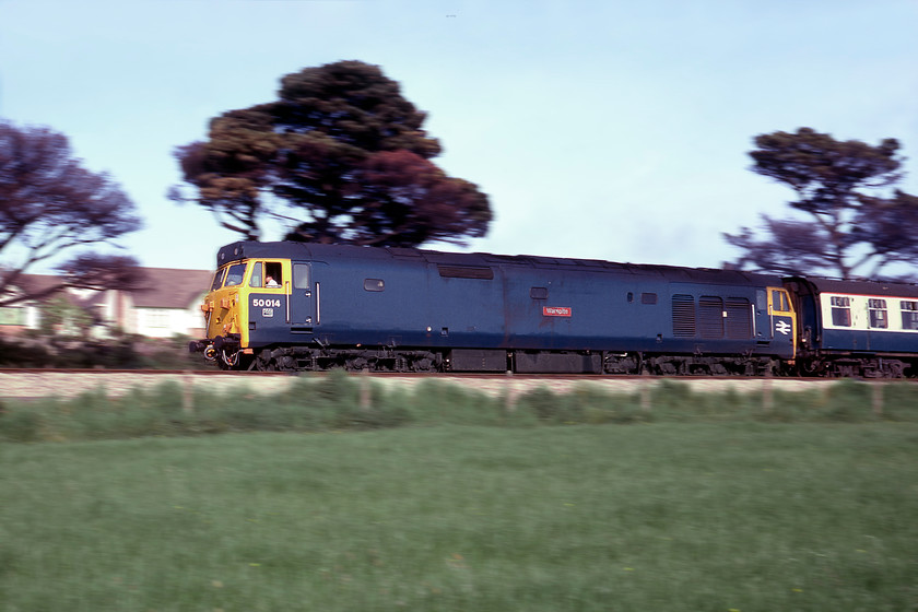 50014, Paignton-Newton Abbot ECS, Aller Junction 
 Picture three of the Paignton to Newton Abbot empty coaching stock working at Aller Junction. This side-on view was lightly panned meaning that 50014 'Warspite' remains sharp whilst the background is subject to motion blur; a technique that I was learning to use back as a sixteen year old railway photographer. The Class 50 is in its original and non-overhauled condition that it would stay in for another three years until, as the last member of the class, it would move to Doncaster in May 1983. 
 Keywords: 50014 Paignton-Newton Abbot ECS Aller Junction Warspite