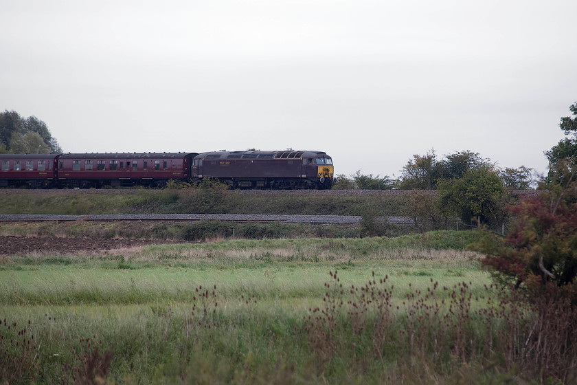 57314, outward leg of The Yorkshireman, 06.31 London Victoria-York (1Z60), Radwell Viaduct TL008569 
 57314 brings up the rear of The Yorkshireman from Victoria to York as it passes radwell on the MML in Bedfordshire. The West Coast livery applied to this former Virgin Thunderbird is utterly dismal and does its best to blend in with the equally dismal and grey landscape on this awful early autumn day! 
 Keywords: 57314 The Yorkshireman 06.31 London Victoria-York 1Z60 Radwell Viaduct TL008569