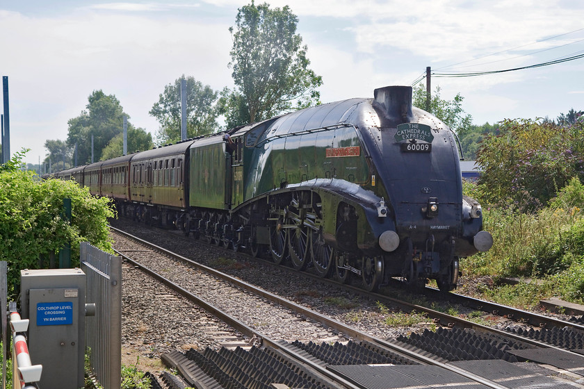 60009, outward leg of The Cathedrals Express, 08.43 London Paddington-Salisbury (1Z82), Colthrop Crossing 
 With no time to find a reasonable spot a pure record shot will have to suffice of 60009 'Union of South Africa' leading The Cathedrals Express from Paddington to Salisbury. It is seen passing Colthrop Crossing just east of Newbury. Up until recent times, a marginally better shot could have been taken from the footbridge at this spot. However, because of the impending electrification, this has been demolished and is not going to be replaced. 
 Keywords: 60009 The Cathedrals Express 08.43 London Paddington-Salisbury 1Z82 Colthrop Crossing