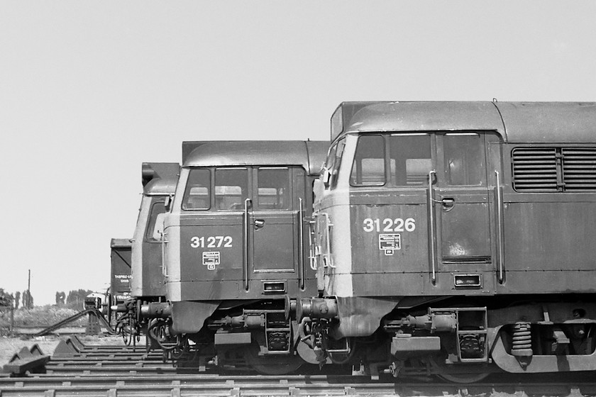 31226, 31272 & 25270, stabled, March yard 
 A line up of locos. at March Depot on a fine Sunday afternoon. 31226, 31 272 and 25270 stand at the blocks awaiting their next turns of duty. Of these three locomotives, 25270 was in service for the shortest time only being active on the network for a mere 16 years eventually being cut-up at Swindon Works in June 1986 some months after the works closed earlier in the year. 
 Keywords: 31226 31272 25270 stabled March yard