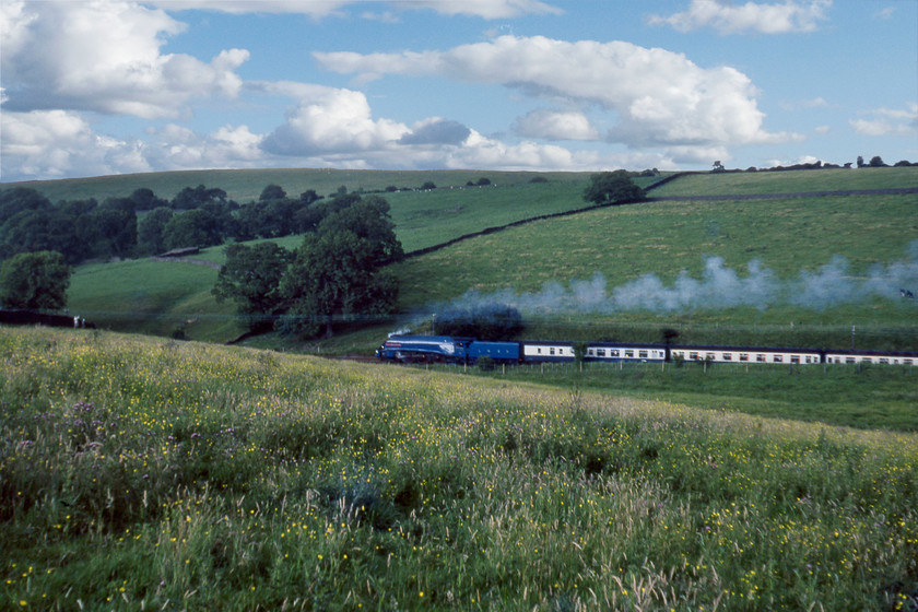 4498, return leg of The Cumbrian Mountain Express, Skipton-Carnforth, Giggleswick SD793638 
 In such a superb location in the Yorkshire Dales, I could not resist another photograph of 4498 'Sir Nigel Gresley' leading the returning Cumbrian Mountain Express. The locomotive is seen working hard past Giggleswick with the Skipton to Carnforth leg. I appear to have crouched down ensuring that I have included the field of wild buttercups blanketing the foreground that breaks up the otherwise sea of green!

There is an audio recording of this event on my youtube channel, see...https://youtu.be/6_Xi_KxRICo 
 Keywords: 4498 The Cumbrian Mountain Express, Skipton-Carnforth Giggleswick SD793638 Sir Nigel Gresley