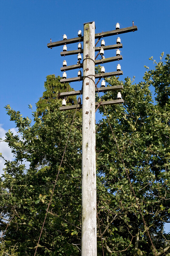 Former telegraph pole, Cotehill NY479512 
 Once strung with lengths of wire enabling the railway to communicate with itself this telegraph pole (along with a phalanx of others) still stands adjacent to a road bridge that crosses the very northern section of the Settle and Carlisle railway near the village of Cotehill. Normally, once the poles fell into disuse they were felled with just stumps left on the ground to rot for example see.... https://www.ontheupfast.com/p/21936chg/30014749301/x222016-09-00-sheffield-london-st The survival of this and the others on this stretch of line is a strange thing. 
 Keywords: Former telegraph pole, Cotehill NY479512