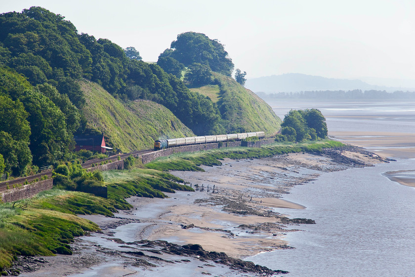 55009, outward leg of The Welsh Central Liner, 05.18 Burton-on-Trent-Shrewsbury (1Z52), Purton SO672049 
 55009 'Alycidon' is an unusual visitor to Gloucestershire. Here it is seen skirting the Severn Estuary passing the tiny hamlet of Gatcombe with the outward leg of the The Welsh Central Liner charter that started out from Burton-on-Trent and ended up at Shrewsbury via the Welsh Marches line. With the tide out and still ebbing, I watched the estuary emptying like water from a bath as I waited for this train at this superb spot atop the precipitous slope recently cleared of vegetation. 
 Keywords: 55009 The Welsh Central Liner, 05.18 Burton on Trent-Shrewsbury 1Z52 Purton SO672049