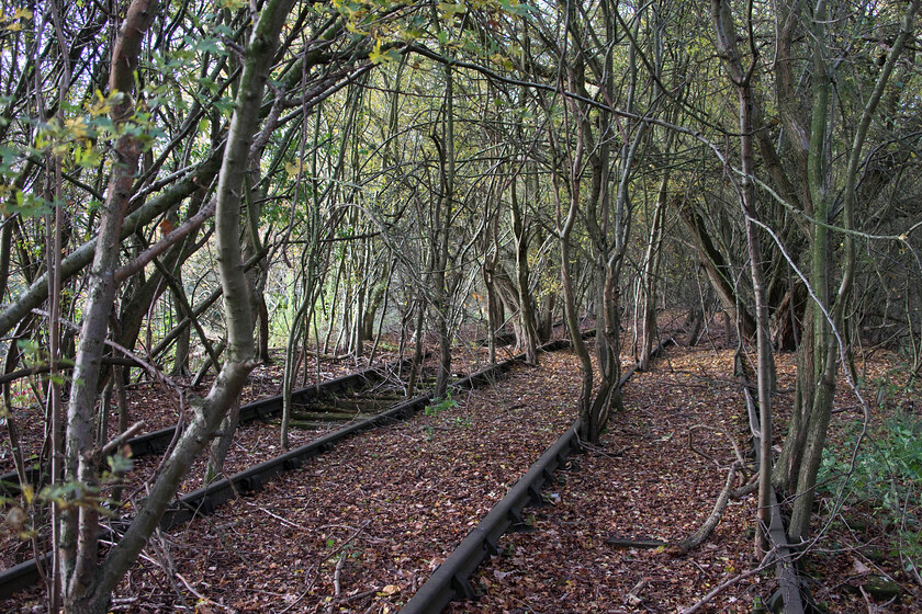 Trackbed, L&NW line to Wellingborough, Delepre Lake SP768592 
 I love the atmospherics of this photograph taken of the former L&NWR railway route to the southeast of Northampton near Delapre Lake. The gently curving track, the trees growing through the trackbed and the slightly backlit lighting all add up to a vaguely eerie scene. One can almost hear the whistle and beat of a distant 2MT 2-6-2 Standard approaching leading the lunchtime Northampton to Wellingborough push-pull service with two crimson coaches in tow! 
 Keywords: Trackbed L&NW line to Wellingborough Delepre Lake SP768592