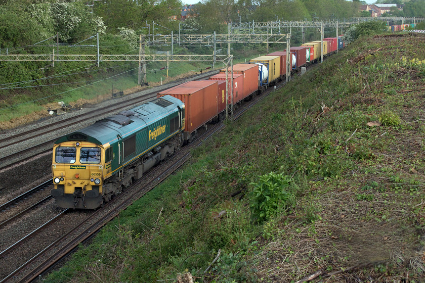 66559, 03.39 Garston-London Gateway (4L52, 25E), Ashton Road bridge 
 Taken from Ashton Road bridge with my home village of Roade in the background, 66559 leads the 03.39 Garston to London Gateway Freightliner. Notice the cowslips growing on the top of the embankment to the right that have survived the brutal and mechanised clearance earlier in the year in preparations for stabilisation work to take place. At least this process has opened up this view that was previously impossible due to rampant tree growth. 
 Keywords: 66559 03.39 Garston-London Gateway 4L52 Ashton Road bridge Freightliner