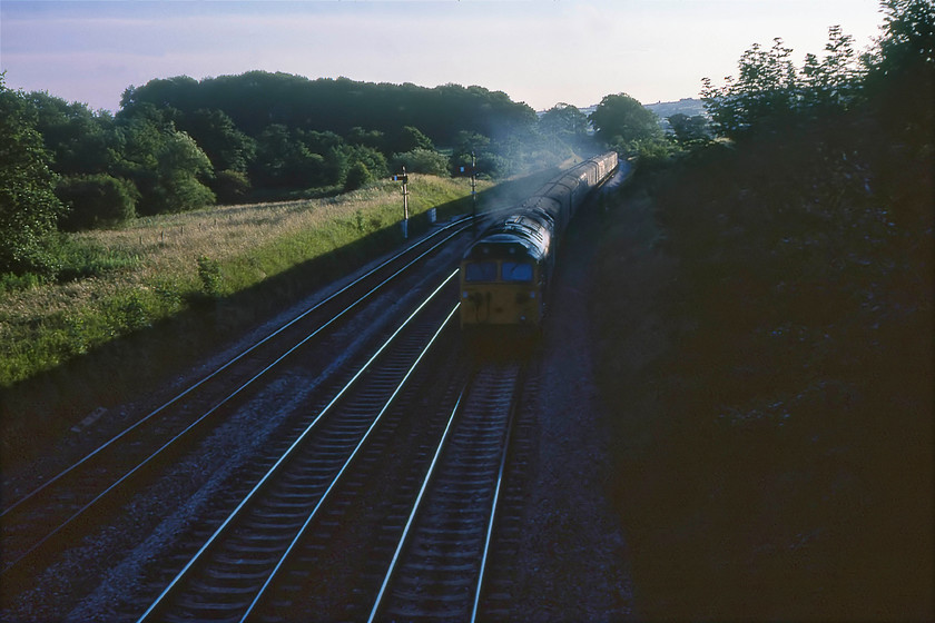 50033, unidentified up parcels, Whiteball 
 A pretty ropey photograph that I have resurrected from the rejects' box! I am not too sure why I wasted an expensive transparency knowing that the subject would have been completely in the shade and that the positioning of the engine would have been far too head-on! I was probably consumed by the noise from 50033 'Glorious' as it worked hard up the western side of Whiteball with an up parcel train. I took a photograph of what I suspect to be the same working on my bike tour the previous summer, see.... https://www.ontheupfast.com/p/21936chg/26669856804/class-50-up-parcel-working-heazille but I am not sure what the service was so if anybody with local knowledge can advise me, it would be appreciated. 
 Keywords: 50033 unidentified up parcels Whiteball Glorious