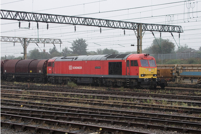 60020, stabled, Bescot yard 
 60020 'The Willows' sits stabled in Bescot Yard at the head of coiled steel train. The engine was switched off and I am not sure what working it was, can anybody advise? Apologies for the poor quality of the picture, it was taken on full zoom through the pouring rain. 
 Keywords: 60020 Bescot yard