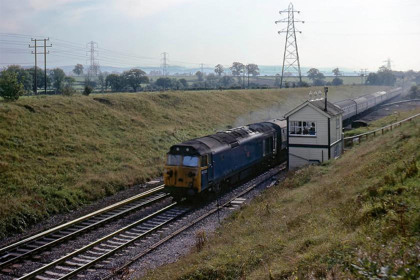 50033, 13.45 Paignton-London Paddington (1A03), Clink Road Junction 
 Taken against the afternoon light, 50033 'Glorious' is seen racing past Clink Road Junction signal box heading the 1A03 13.45 Paignton to Paddington. For years, this slide languished in the reject box deemed to be to badly exposed to make the cut. However, such is the ability of Photoshop to resurrect such images, a just about acceptable picture is presented here. 
 Keywords: 50033 13.45 Paignton-London Paddington 1A03 Clink Road Junction