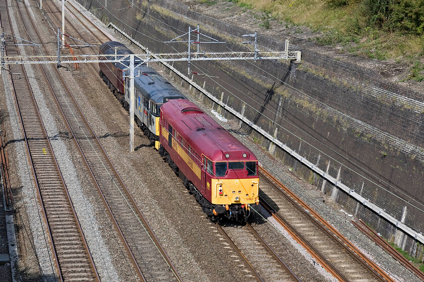 31466, 31271 & 57315, 09.22 Alton-Etches Park (OZ43), Roade cutting 
 Looking superb in its early EWS reproduction paint scheme 31466 brings up the rear of the 0Z43 09.22 Alton to Derby Etches Park move. Introduced into service in June 1959 to Norwich Thorpe it completed forty-one years in service being withdrawn in 2001. Thankfully, it was saved from cutting and is now a firm favourite on the heritage lines as part of their diesel galas. Sandwiched in the centre is 31271 'Stratford 1840-2001' that also is popular with enthusiasts, indeed the two were returning from the Mid Hants. Line following gala duties. They are being led by WCR's rather drab-looking 57315. 
 Keywords: Stratford 1840-2001 31466 31271 57315 09.22 Alton-Etches Park OZ43 Roade cutting