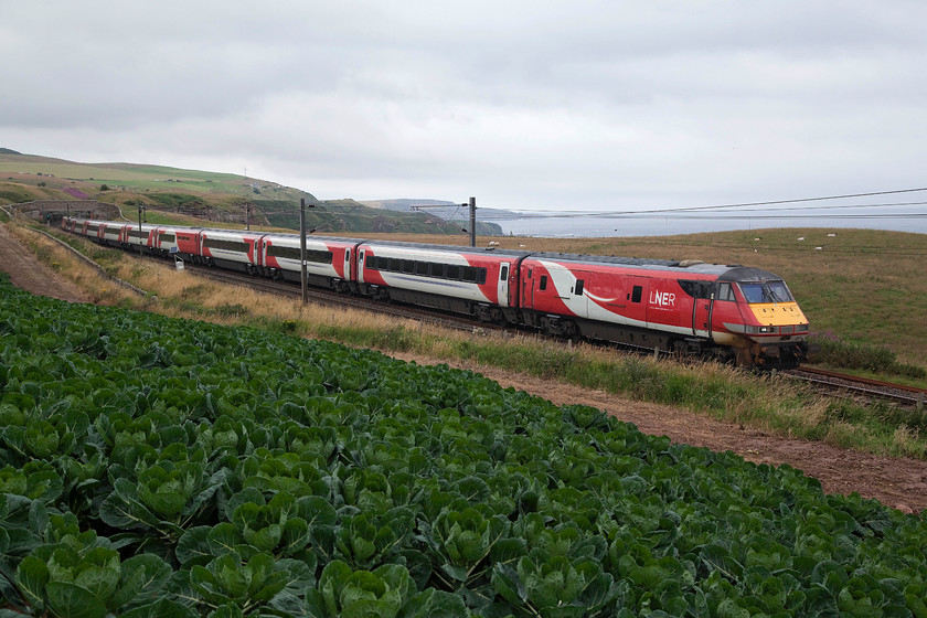 82201 & 91126, GR 14.00 Edinburgh Waverley-London King`s Cross (1E18, RT), Lamberton NT973580 
 Passing the small village of Lamberton on the far northeast coast of England the 14.00 Edinburgh to King's Cross passes with 82201 at the front and 91126 'Darlington Hippodrome' powering at the rear. In the foreground, the small field of brussels sprouts adds a little welcome colour to a very drab day. 
 Keywords: 82201 1126, GR 14.00 Edinburgh Waverley-London King`s Cross 1E18 Lamberton NT973580