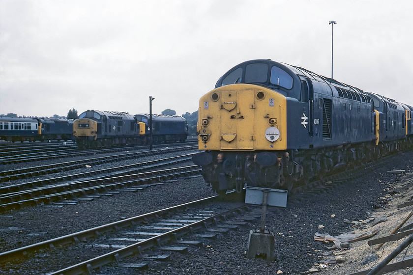 40007, 37035, 47361 & 25208, ECS, York yard 
 An interesting lineup of BR's finest in York yard behind the National Railway Museum. On the far left, 25208 takes what I believe to be an ECS working into York station. I cannot identify the Peak and the class 37 in the background. In the foreground are 40007, 37035 and 47361. As D207, the class 40 was new to traffic in the summer of 1958. It survived until January 1984, being withdrawn after sustaining accident damage after a derailment at Llandudno Junction. 37035, that was an Eastern Region loco. for most of its life up until withdrawal in 2000 from March depot. Notice the wire fence lying on the ground to the lower right of the image. Could you imagine a situation like this today with full and open access to a large depot and working lines? 
 Keywords: 40007 37035 47361 25208 ECS York yard