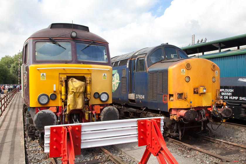 57312 & 37604, on-display, DRS Gresty Bridge 
 Another view of 57312 'Solway Princess' and 37604 on-display at Crewe's Gresty Bridge depot. Also picture with no infiltration by other enthusiasts. With a little patience it is possible to get a shot like this despite the hundreds of people attending and wandering about. 
 Keywords: 57312 37604 DRS Gresty Bridge