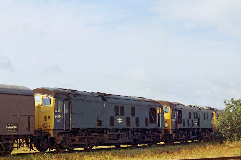 24041, 24039 & 24135, scrap-line, SwindonWorks 
 A trio of class 24s await cutting at Swindon Works. 24041 and 24039 were both 1959 Crewe built and withdrawn as part of the same cull in July 1976. Behind the tree, 24135 lingers, it was a 1960 Derby built engine withdrawn in January 1976.