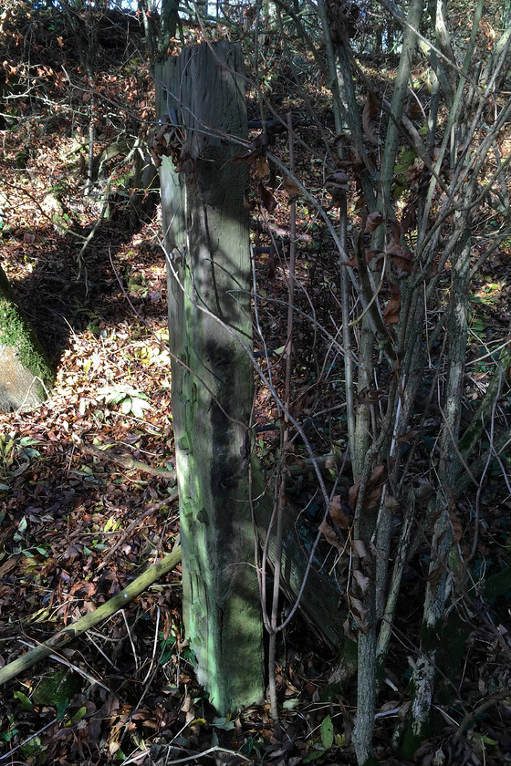 SMJ boundary fence, Stoke Bruerne SP738505 
 In the past, the railways must have used much higher quality timber for items like this fence past in order for them today being still firmly planted in the ground. This one in an end post that still has the attachment cleats for the wires through it. It marks the boundary of the former SMJ railway's boundary near to Stoke Bruerne. 
 Keywords: SMJ boundary fence Stoke Bruerne SP738505