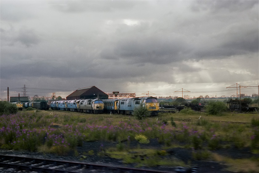 Class 52s, class 24s and DMUs, awaiting cutting up, Swindon Works 
 Since my last visit to Swindon Works in 1977 the scrap-lines have been tidied up with the rows of doomed stock and locomotives having been brought together. The scrap-man will no doubt do his worst in far more efficient manner now. Notice in the background the dead elm tree lined fields on the skyline. This area has now been completely covered by Swindon's western expansion area that exploded in the early 1980s covering thousands of hectares of greenfield land. 
 Keywords: Class 52s class 24s DMUs awaiting cutting up Swindon Works