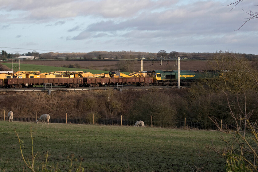 66541, Crewe Basford Hall-Crewe Basford Hall (6Y10), Roade Hill 
 With just three of the field's resident alpacas in view, 66541 sits at the southern end of a rake of JNA loaded ballast wagons between Roade and Ashton just south of Northampton. The ballast train and the 'drain train', stationary on the up fast line behind, were waiting to be summoned by work teams engaged in drainage improvement work further north on the Weedon or 'old route' towards Rugby. 
 Keywords: 66541 Crewe Basford Hall 6Y10 Roade Hill Freightliner JNA wagon