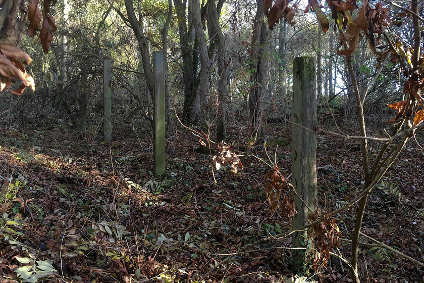 SMJ boundary fence, Stoke Bruerne SP738505 
 The fencing posts and steel wires are still intact marking the boundary of the SMJ railway near to the village of Stoke Bruerne. Such a simple piece of ageing infrastructure, but an almost ghostly reminder of times past. 
 Keywords: SMJ boundary fence Stoke Bruerne SP738505