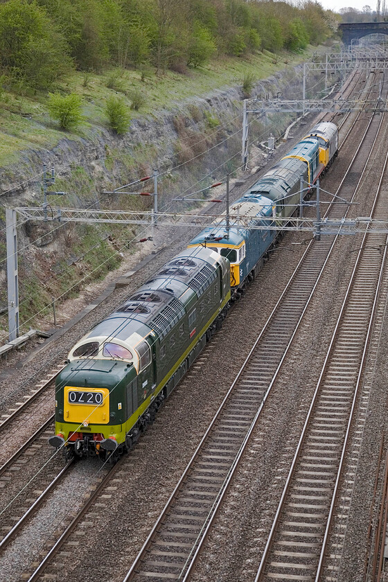 55009, 33109, 47402, 20087 & 37901, 08.52 Alton-Castleton Hopwood (0Z20), Roade cutting 
 A convoy of some of BR's finest passes through Roade cutting! Following the spring Mid-Hants diesel gala last weekend, the visiting locomotives return to the East Lancashire Railway as the 0Z20 08.52 Alton to Castleton Hopwood. The Deltic Preservation Society's 55009 'Alycidon' leads the collection of locos. with 33109 'Captain Bill Smith RNR' behind. The third in line is 47402 followed by 20087 and, finally, 37901 at the rear. 
 Keywords: 55009 33109 47402 20087 37901 08.52 Alton-Castleton Hopwood 0Z20 Roade cutting Alycidon Captain Bill Smith RNR