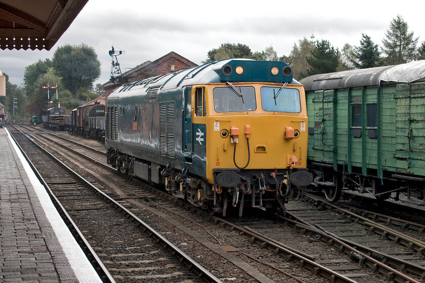 50035, running round, Bewdley station 
 Seen earlier prior to its departure from Kidderminster 50035 'Ark Royal' is seen at Bewdley running round its stock that is made up of a set of superb quad art coaches. Once coupled up to the stock Ark Royal will then lead the 11.42 shuttle back to Kidderminster. 
 Keywords: 50035 Bewdley station Ark Royal