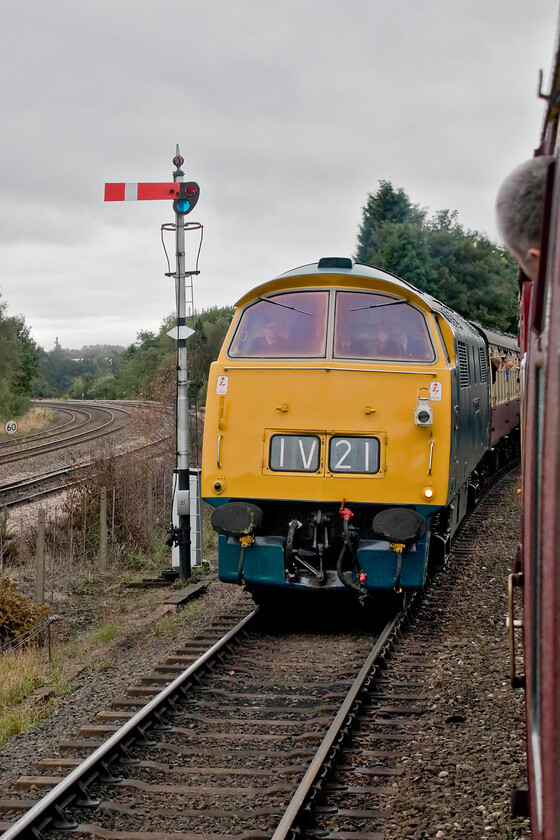 D1062, 09.05 Bridgnorth-Kidderminster, Kidderminster approach 
 With a wave from the driver D1062 'Western Courier' approaches journey's end on the approach to Kidderminster leading the 09.05 from Bridgnorth. We were being held whilst the incoming service made its way in due to the limitations imposed by the Severn Valley Railway's long sections of singletrack. Despite this, they operate an ambitious and intensive timetable during their galas with very little scope for things to go wrong! 
 Keywords: D1062 09.05 Bridgnorth-Kidderminster Kidderminster approach Western Courier